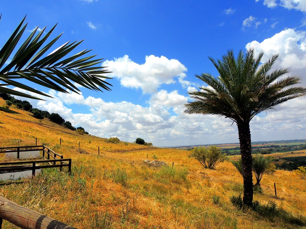 Foto de Almodóvar del Río (Córdoba), España