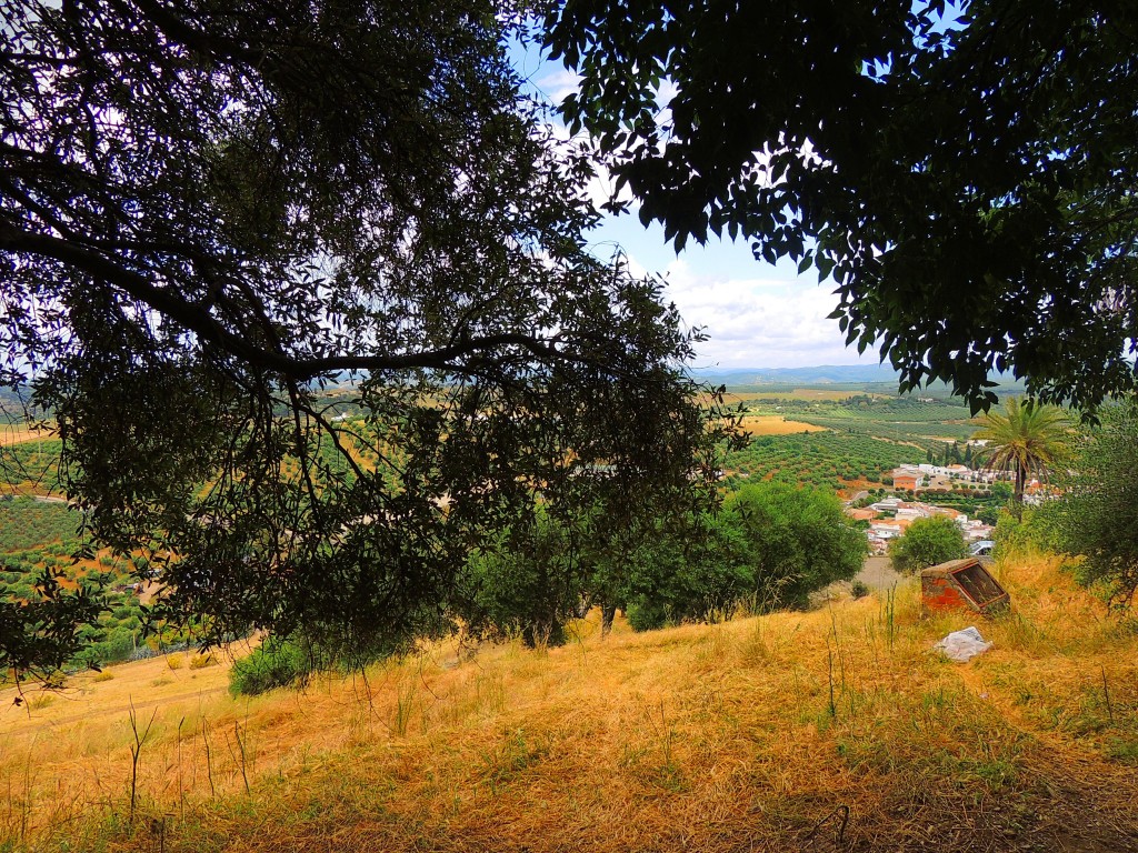 Foto de Almodóvar del Río (Córdoba), España
