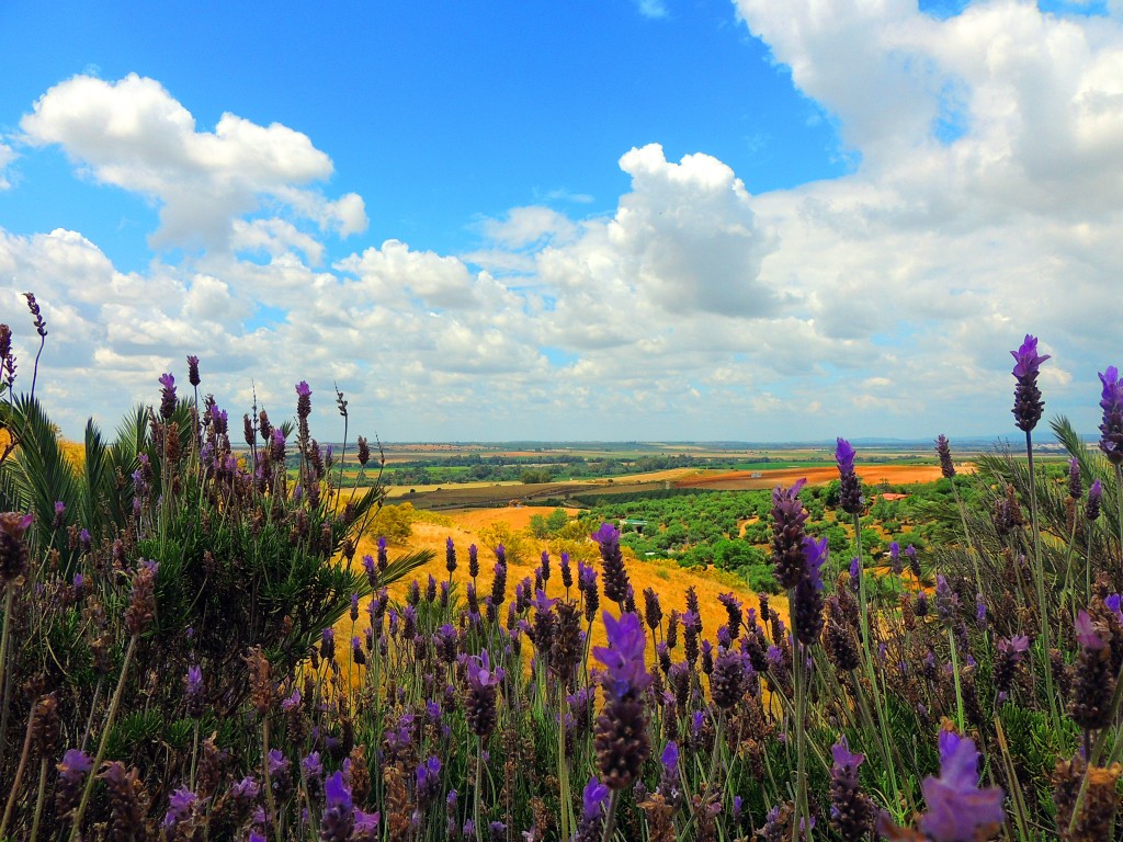 Foto de Almodóvar del Río (Córdoba), España