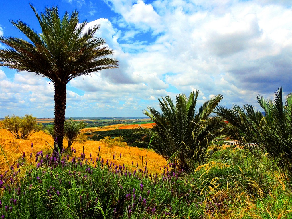 Foto de Almodóvar del Río (Córdoba), España