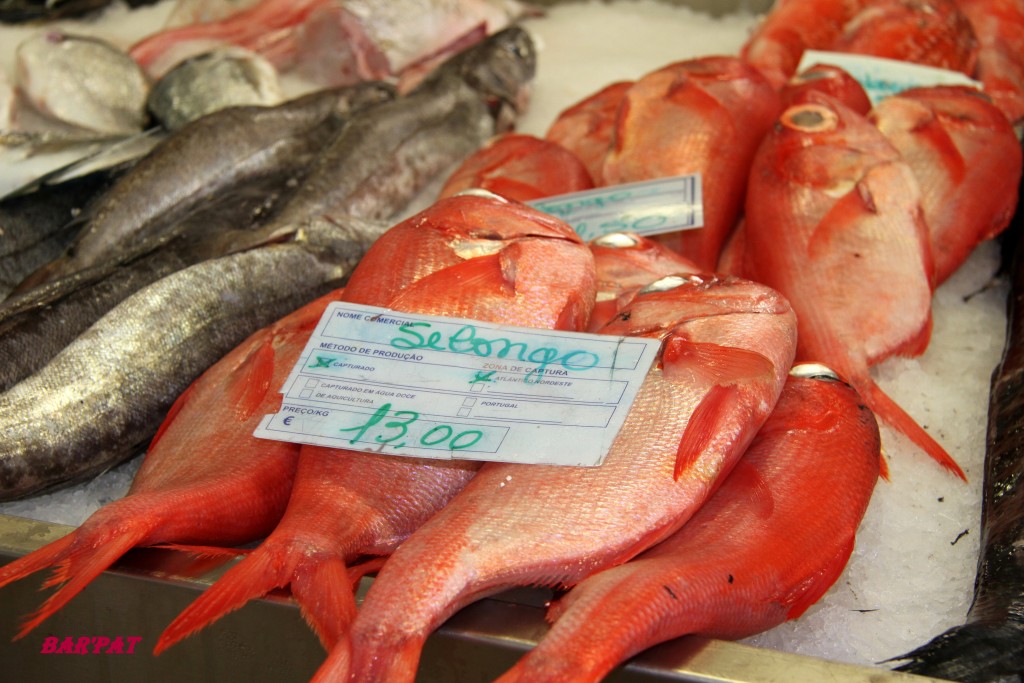 Foto de Sesimbra (Lisbon), Portugal