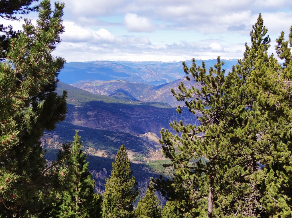 Foto: Parc Natural del Cadí-Moixeró - La Vansa (Lleida), España
