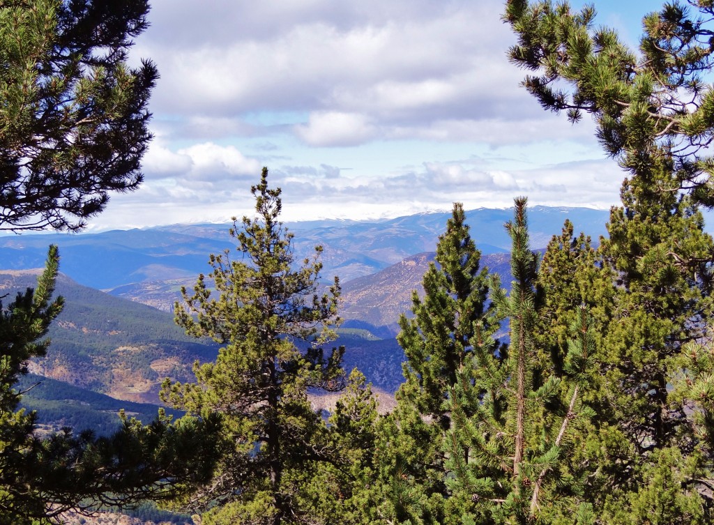 Foto: Parc Natural del Cadí-Moixeró - La Vansa (Lleida), España