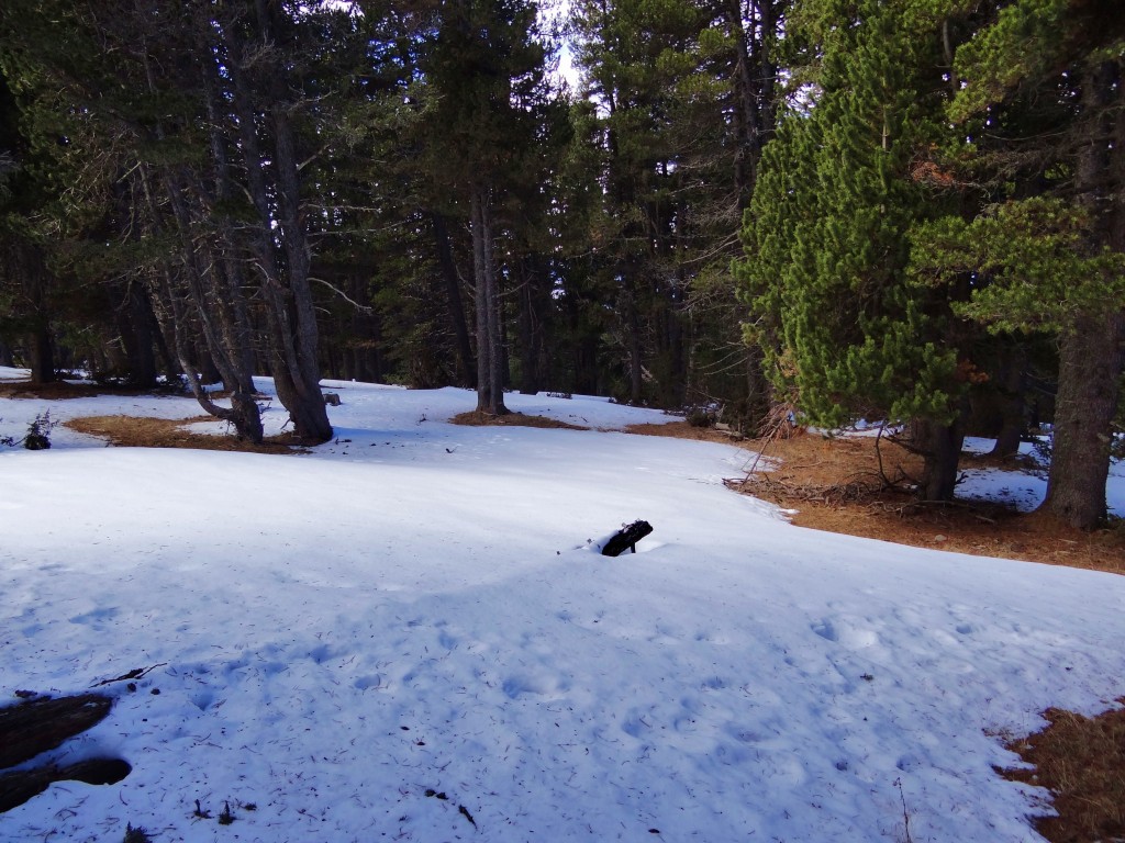 Foto: Parc Natural del Cadí-Moixeró - La Vansa (Lleida), España
