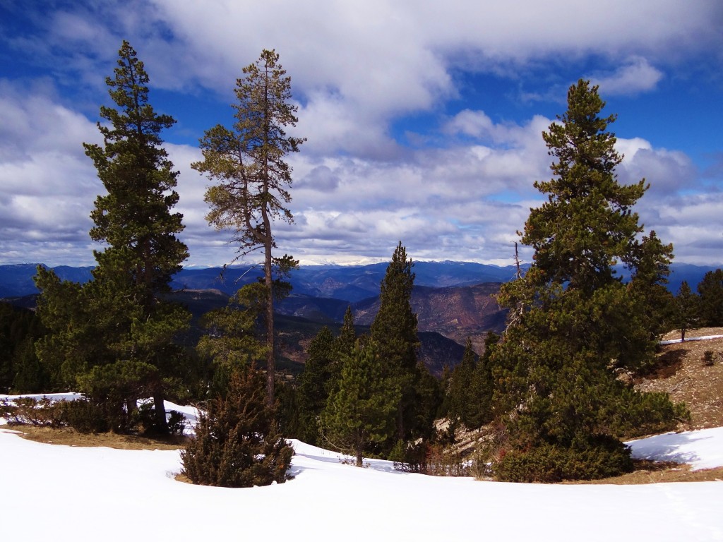 Foto: Parc Natural del Cadí-Moixeró - La Vansa (Lleida), España