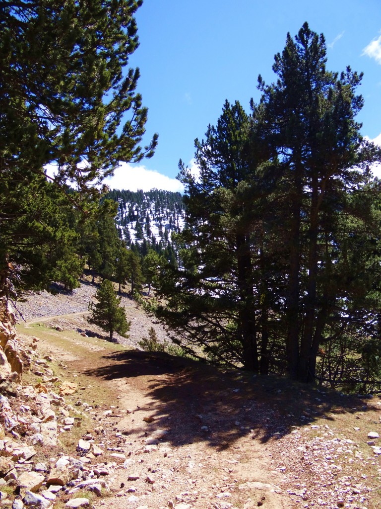 Foto: Parc Natural del Cadí-Moixeró - La Vansa (Lleida), España