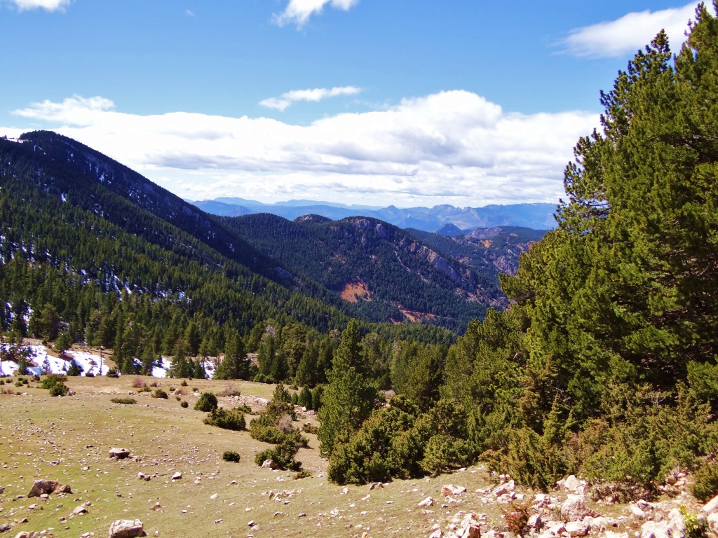 Foto: Parc Natural del Cadí-Moixeró - La Vansa (Lleida), España