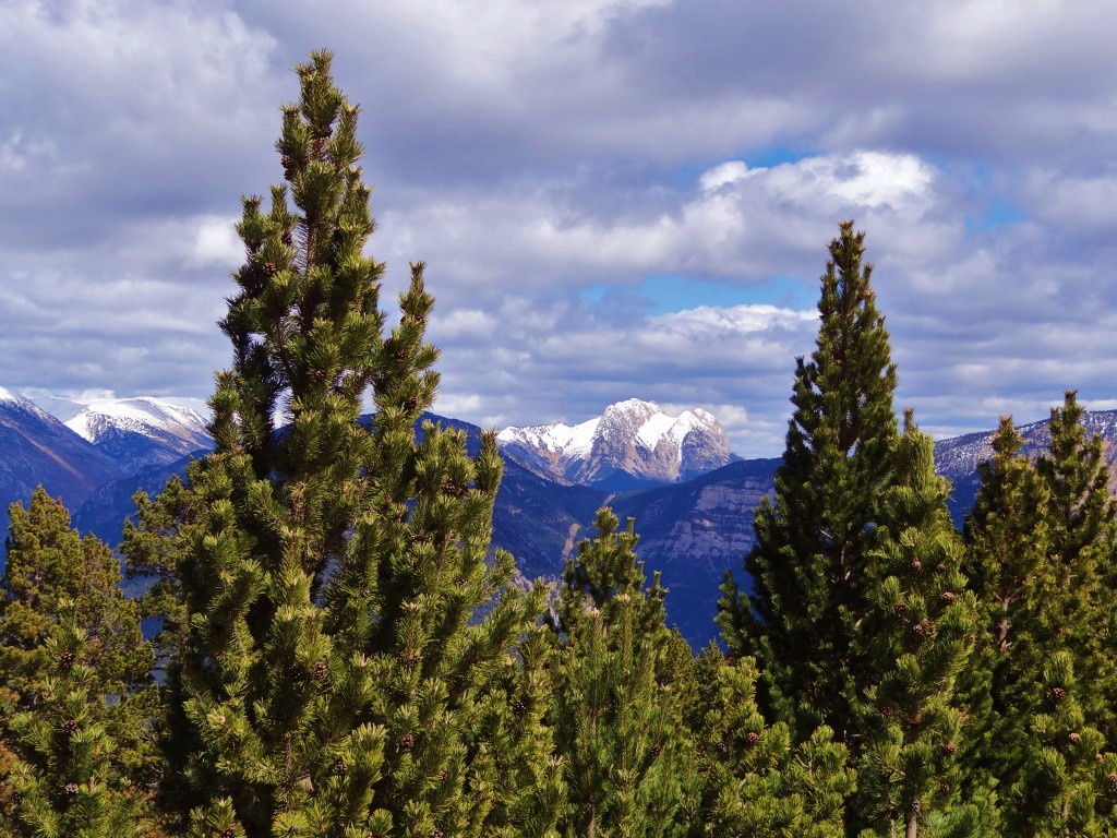 Foto: Parc Natural del Cadí-Moixeró - La Vansa (Lleida), España