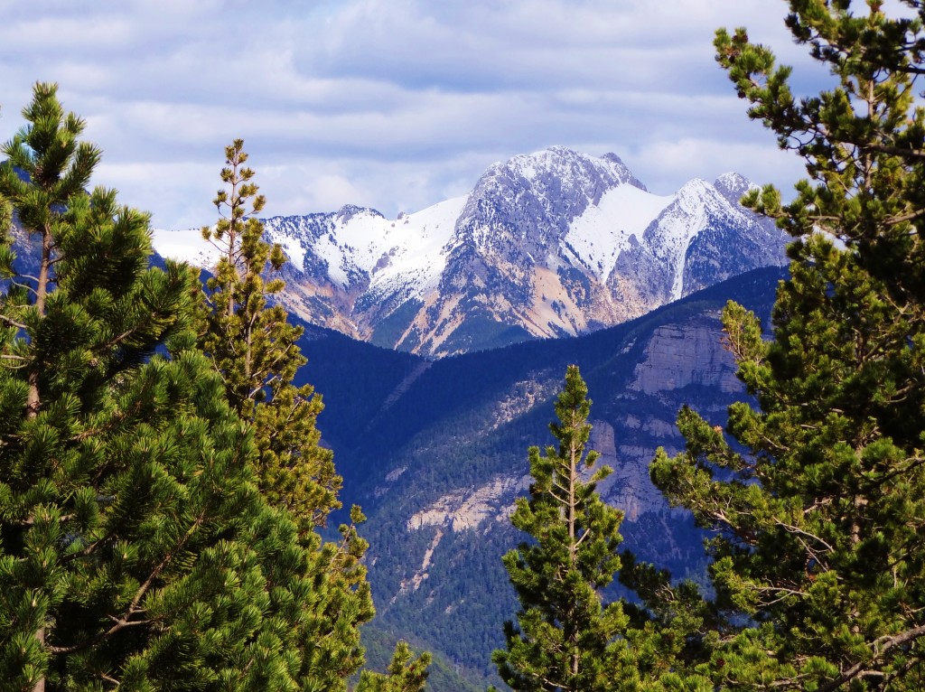 Foto: Parc Natural del Cadí-Moixeró - La Vansa (Lleida), España
