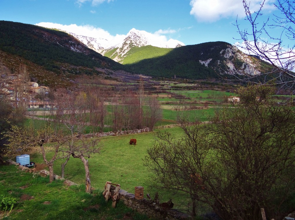 Foto: Vall de Gósol - Gósol (Lleida), España