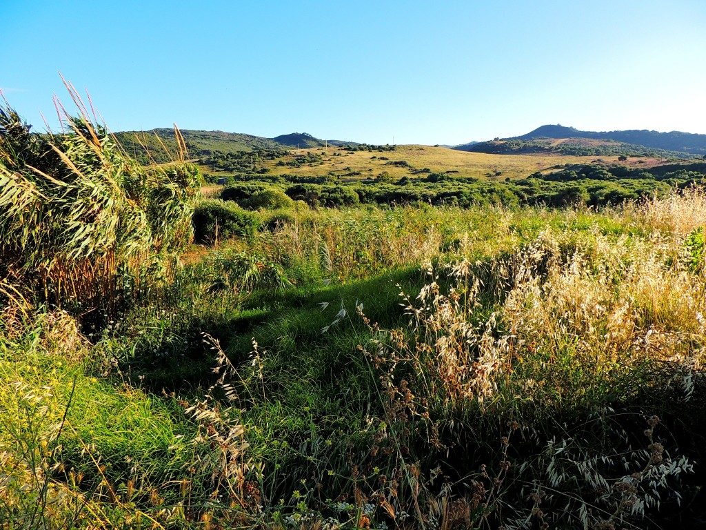 Foto de Algeciras (Cádiz), España
