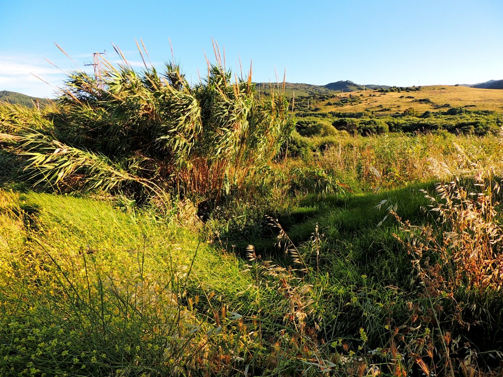 Foto de Algeciras (Cádiz), España