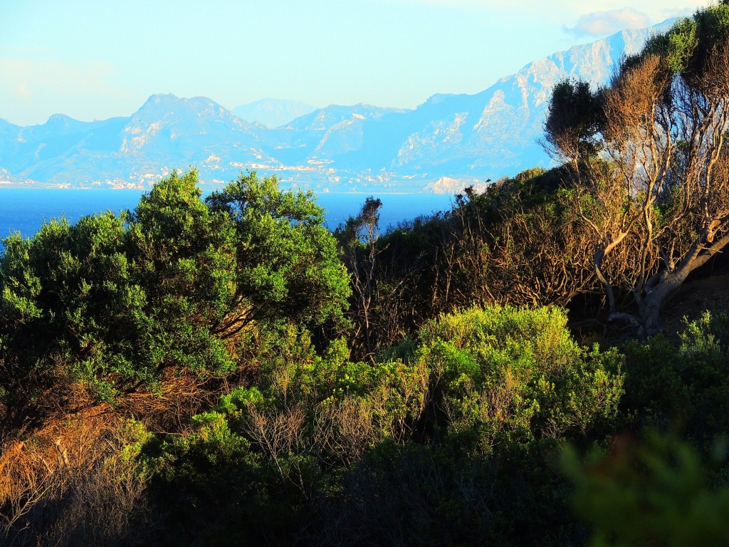 Foto de Algeciras (Cádiz), España