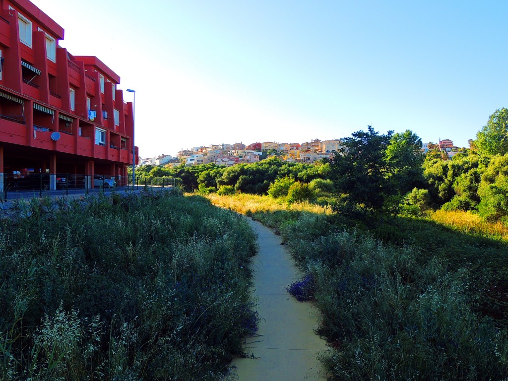 Foto de Algeciras (Cádiz), España