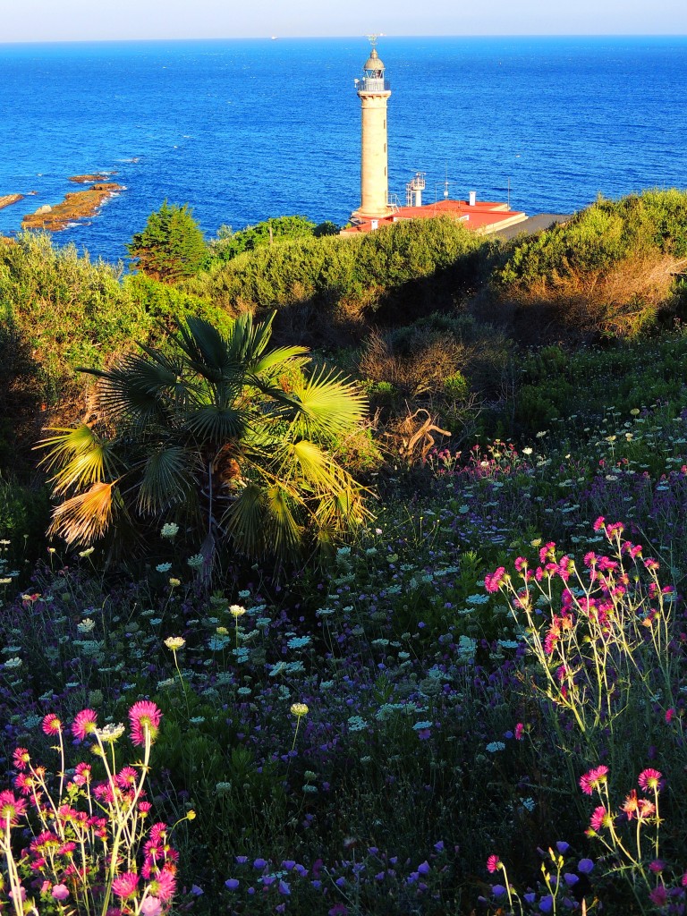 Foto de Algeciras (Cádiz), España
