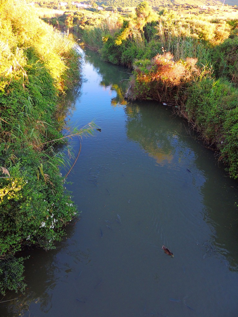 Foto de Algeciras (Cádiz), España