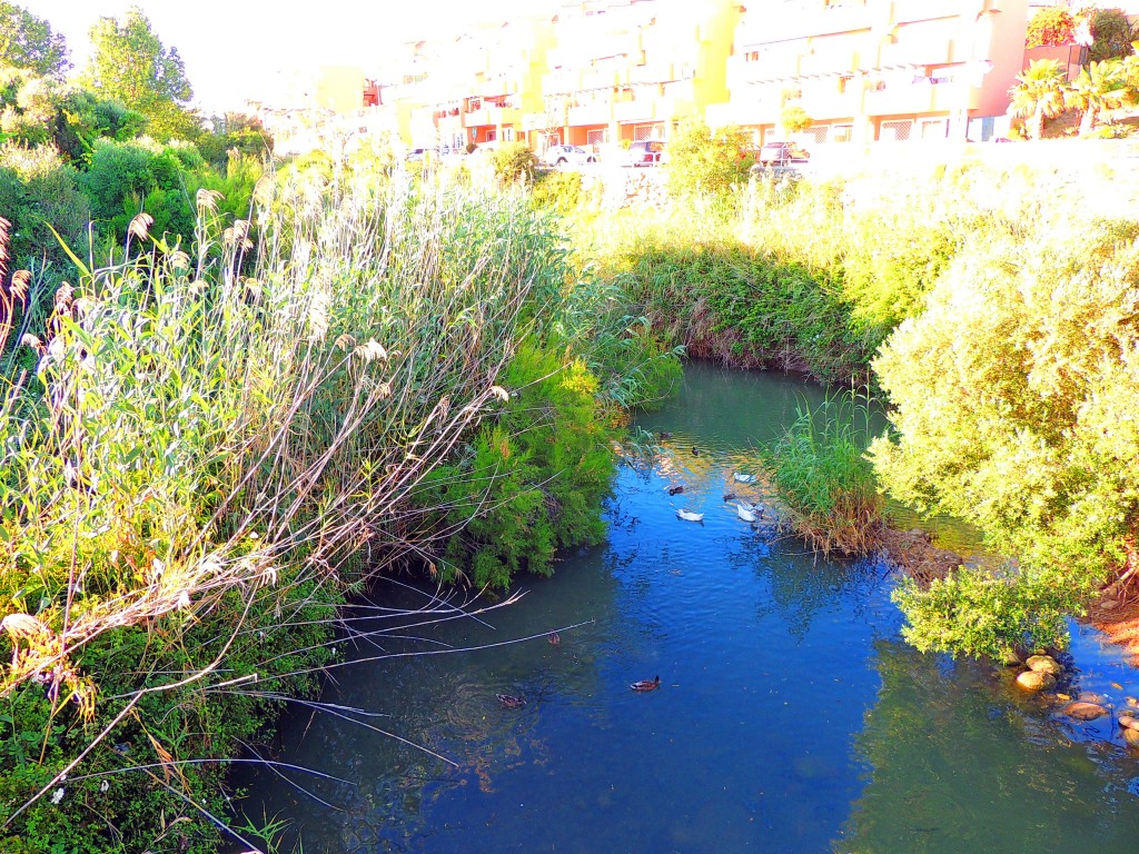 Foto de Algeciras (Cádiz), España
