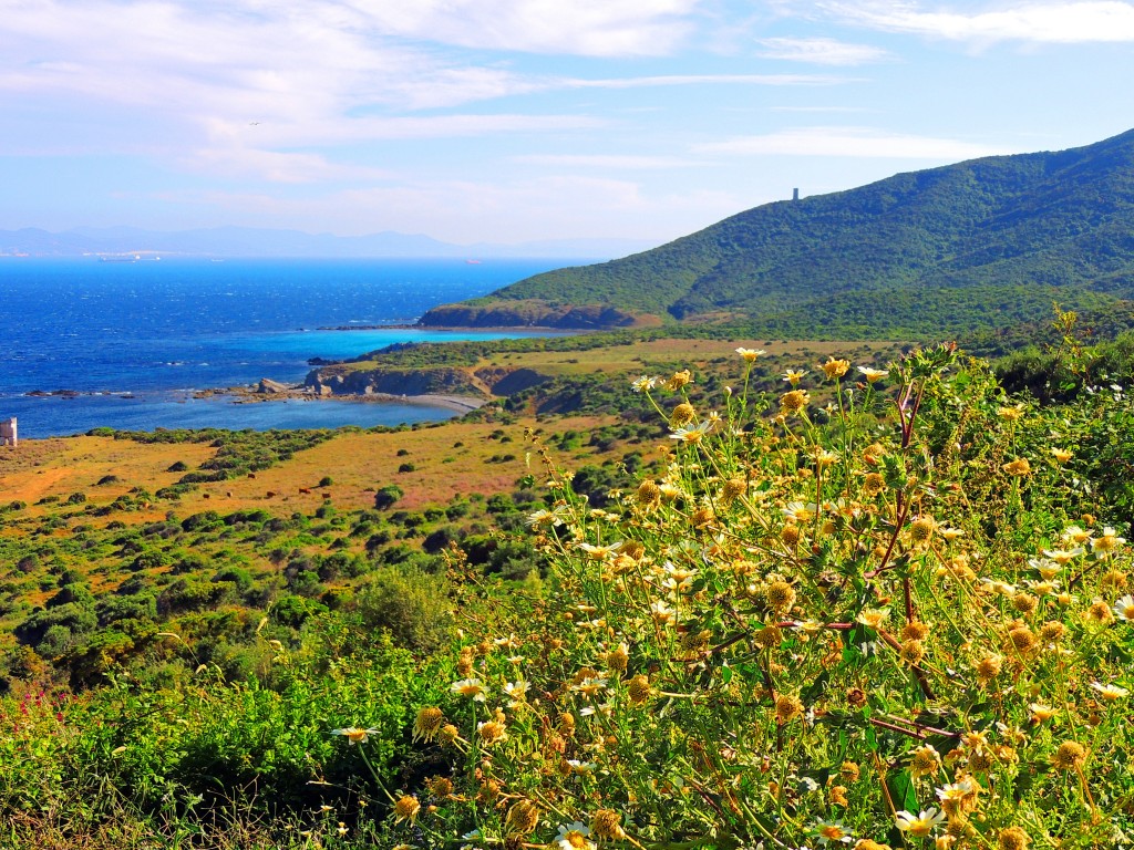 Foto de Algeciras (Cádiz), España