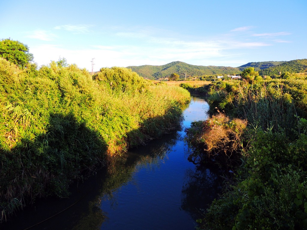 Foto: Río Pícaro - Algeciras (Cádiz), España