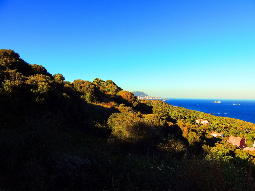 Foto de Algeciras (Cádiz), España