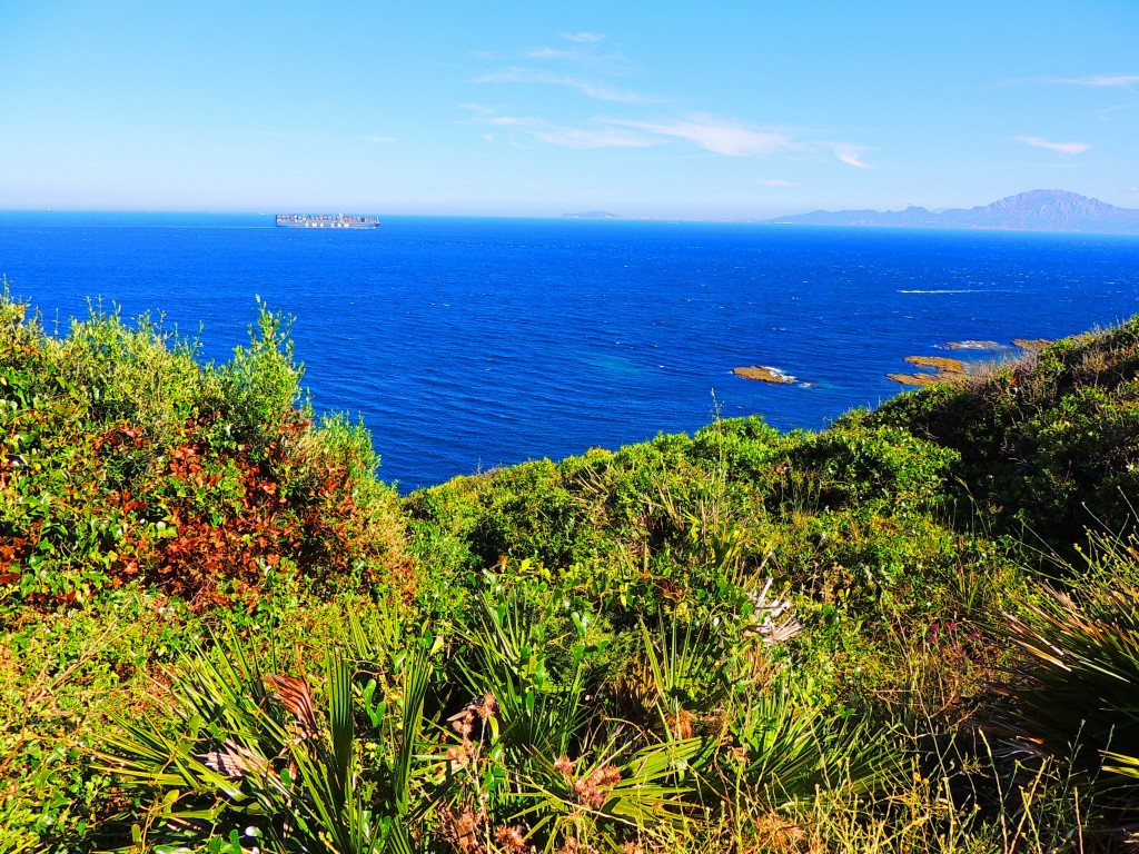 Foto de Algeciras (Cádiz), España