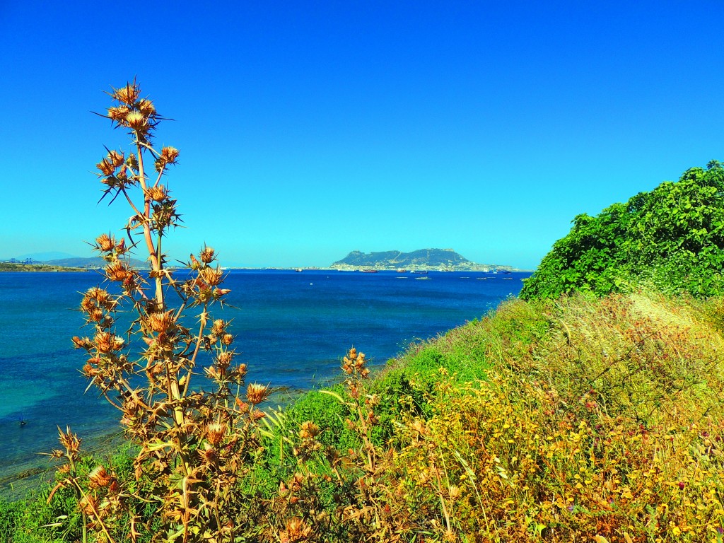 Foto de Algeciras (Cádiz), España