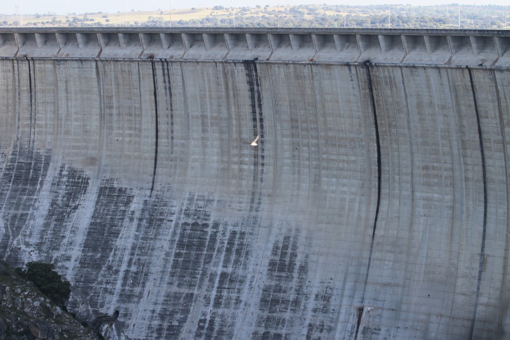 Foto de Almendra (Zamora), España