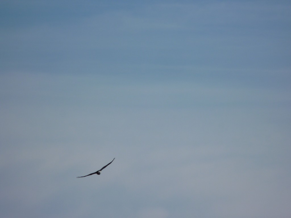 Foto: Parque Nacional Lihué Calel - Lihué Calel (La Pampa), Argentina