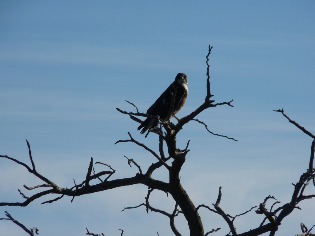 Foto: Parque Nacional Lihué Calel - Lihué Calel (La Pampa), Argentina