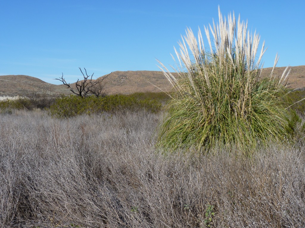 Foto: Parque Nacional Lihué Calel - Lihué Calel (La Pampa), Argentina