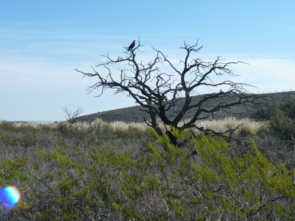 Foto: Parque Nacional Lihué Calel - Lihué Calel (La Pampa), Argentina