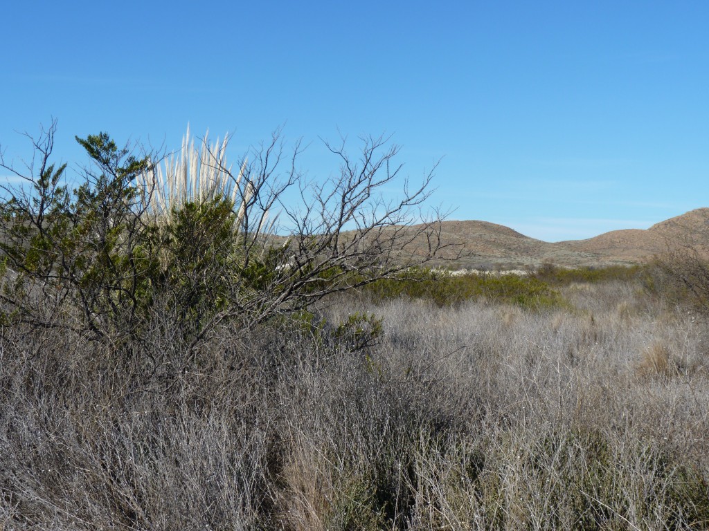 Foto: Parque Nacional Lihué Calel - Lihué Calel (La Pampa), Argentina