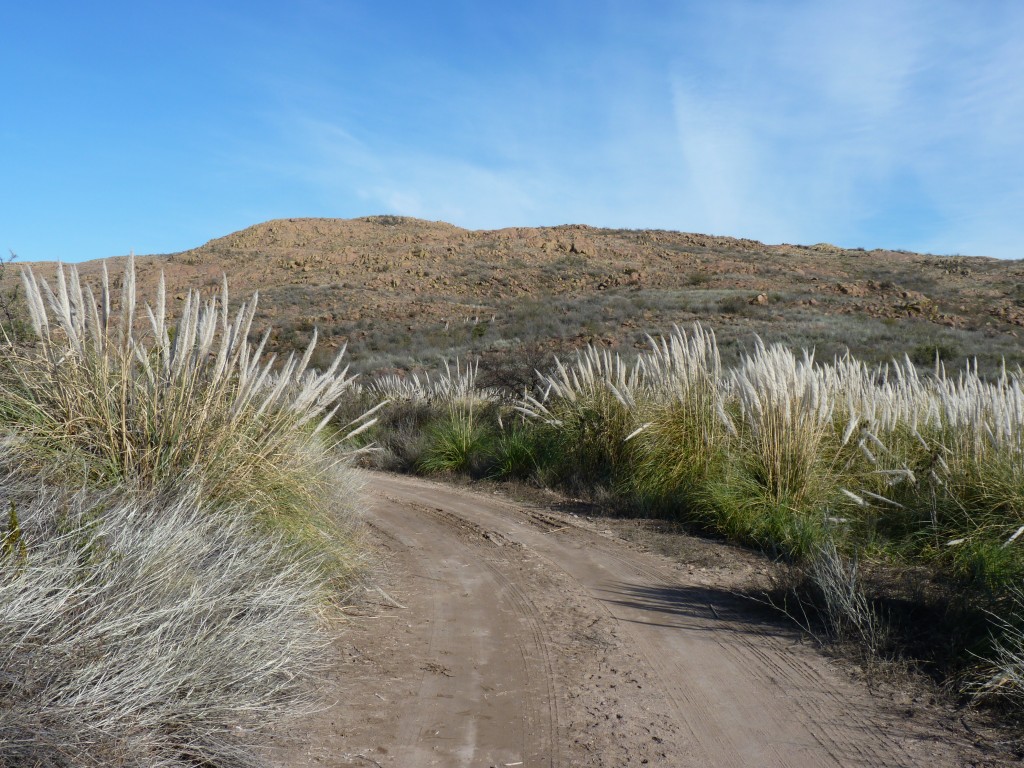Foto: Parque Nacional Lihué Calel - Lihué Calel (La Pampa), Argentina