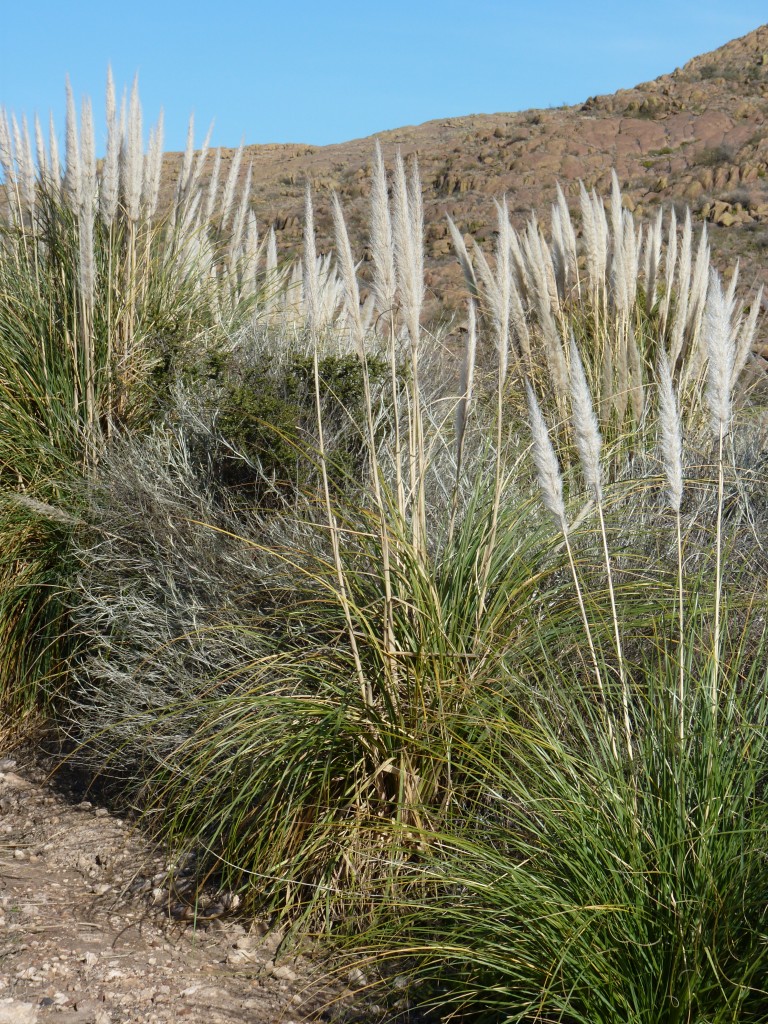 Foto: Parque Nacional Lihué Calel - Lihué Calel (La Pampa), Argentina