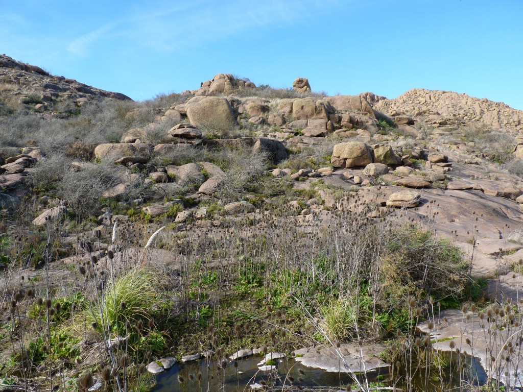 Foto: Parque Nacional Lihué Calel - Lihué Calel (La Pampa), Argentina