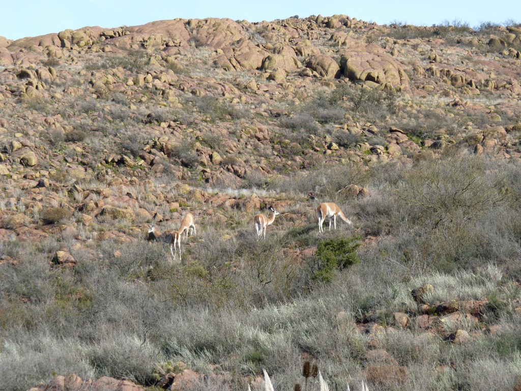 Foto: Parque Nacional Lihué Calel - Lihué Calel (La Pampa), Argentina