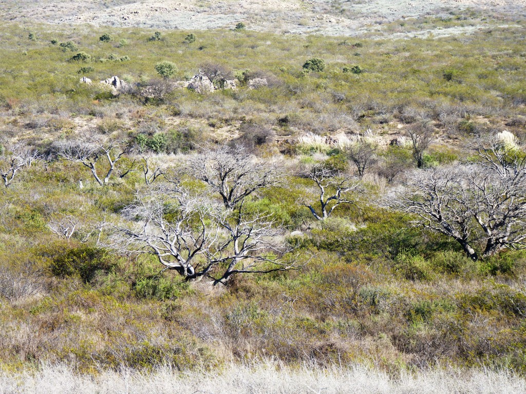 Foto: Parque Nacional Lihué Calel - Lihué Calel (La Pampa), Argentina