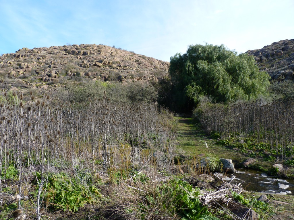 Foto: Parque Nacional Lihué Calel - Lihué Calel (La Pampa), Argentina