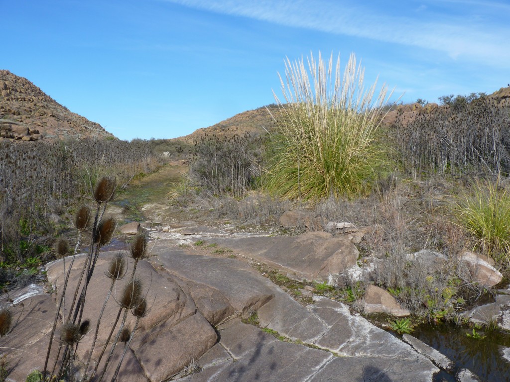 Foto: Parque Nacional Lihué Calel - Lihué Calel (La Pampa), Argentina