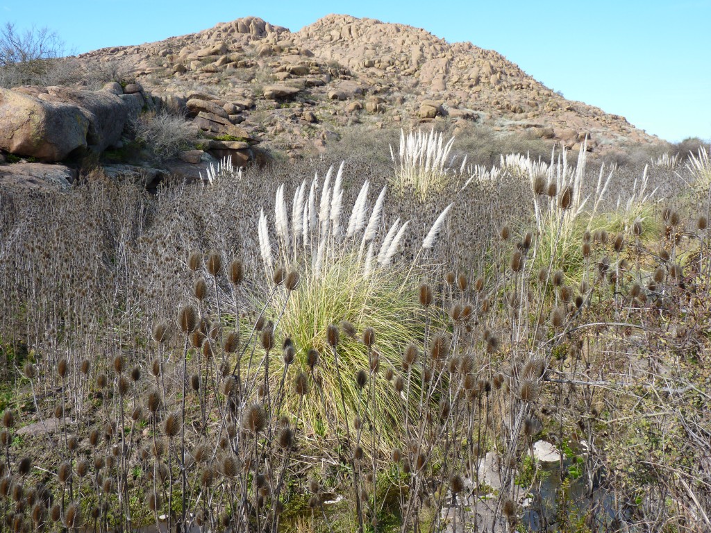 Foto: Parque Nacional Lihué Calel - Lihué Calel (La Pampa), Argentina