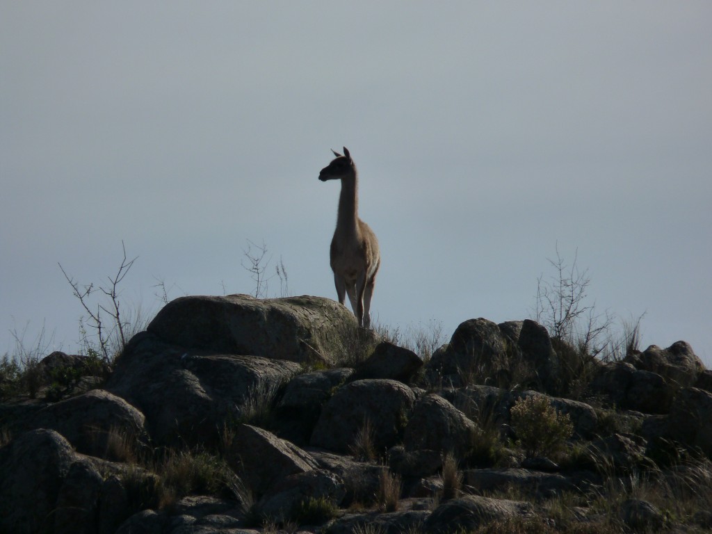 Foto: Parque Nacional Lihué Calel - Lihué Calel (La Pampa), Argentina