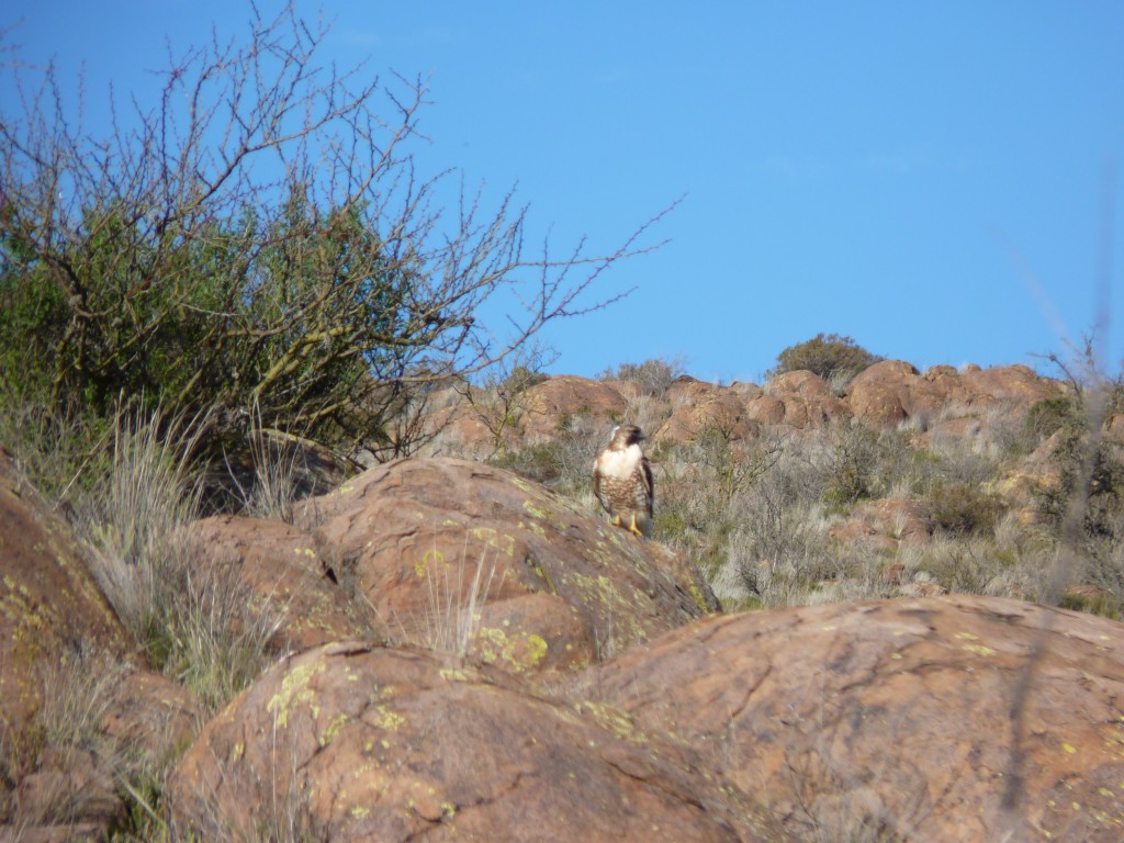 Foto: Parque Nacional Lihué Calel - Lihué Calel (La Pampa), Argentina