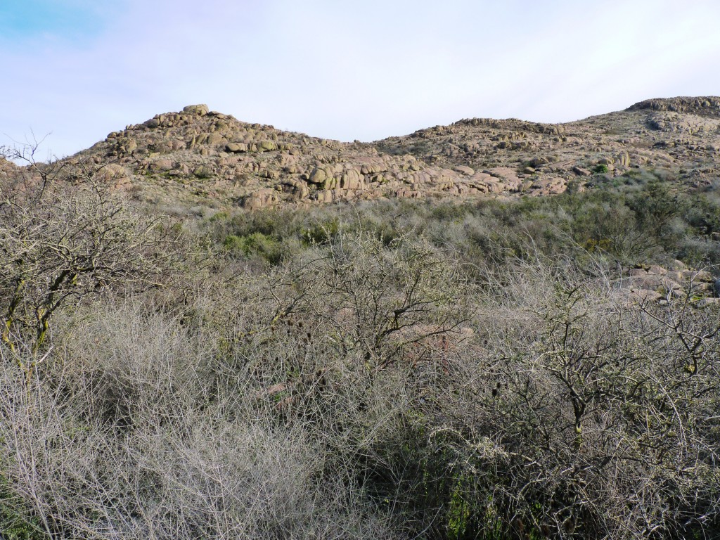 Foto: Parque Nacional Lihué Calel. - Lihué Calel (La Pampa), Argentina