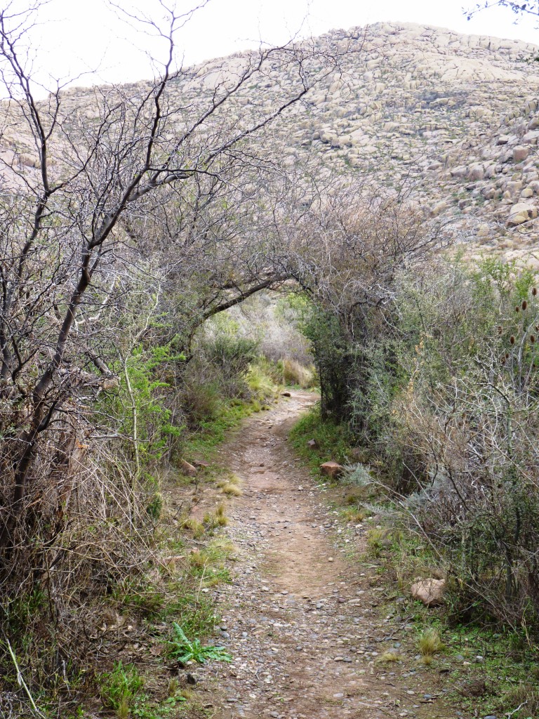 Foto: Parque Nacional Lihué Calel. - Lihué Calel (La Pampa), Argentina