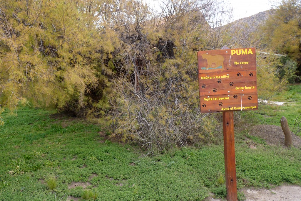 Foto: Parque Nacional Lihué Calel. - Lihué Calel (La Pampa), Argentina