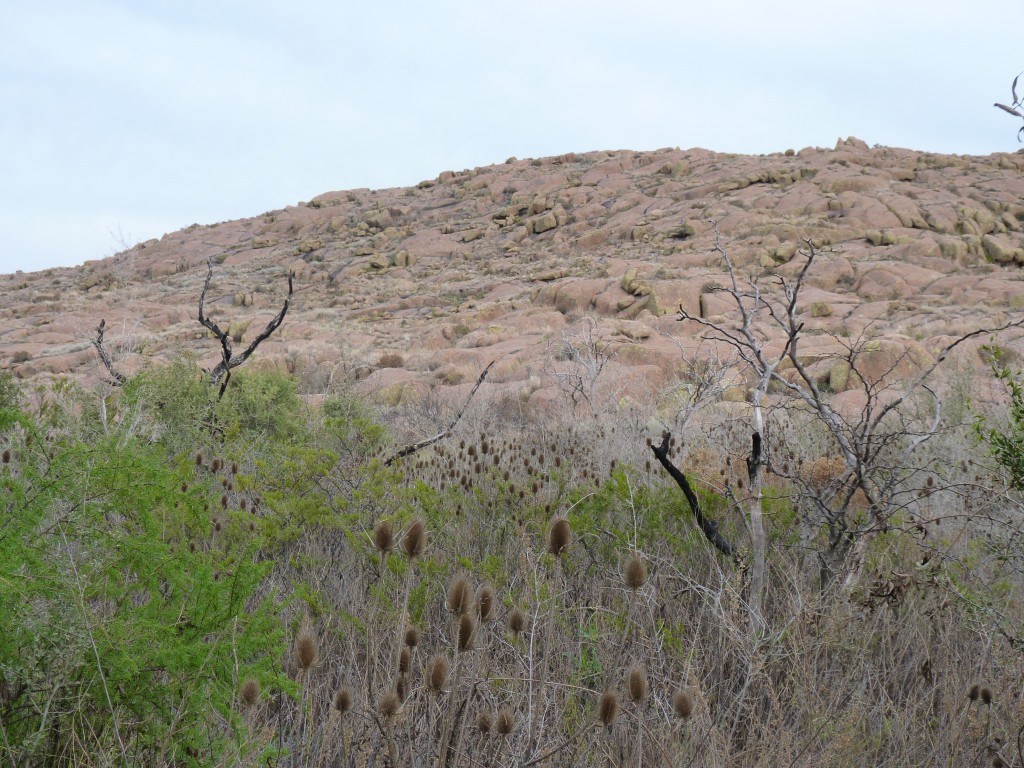 Foto: Parque Nacional Lihué Calel. - Lihué Calel (La Pampa), Argentina