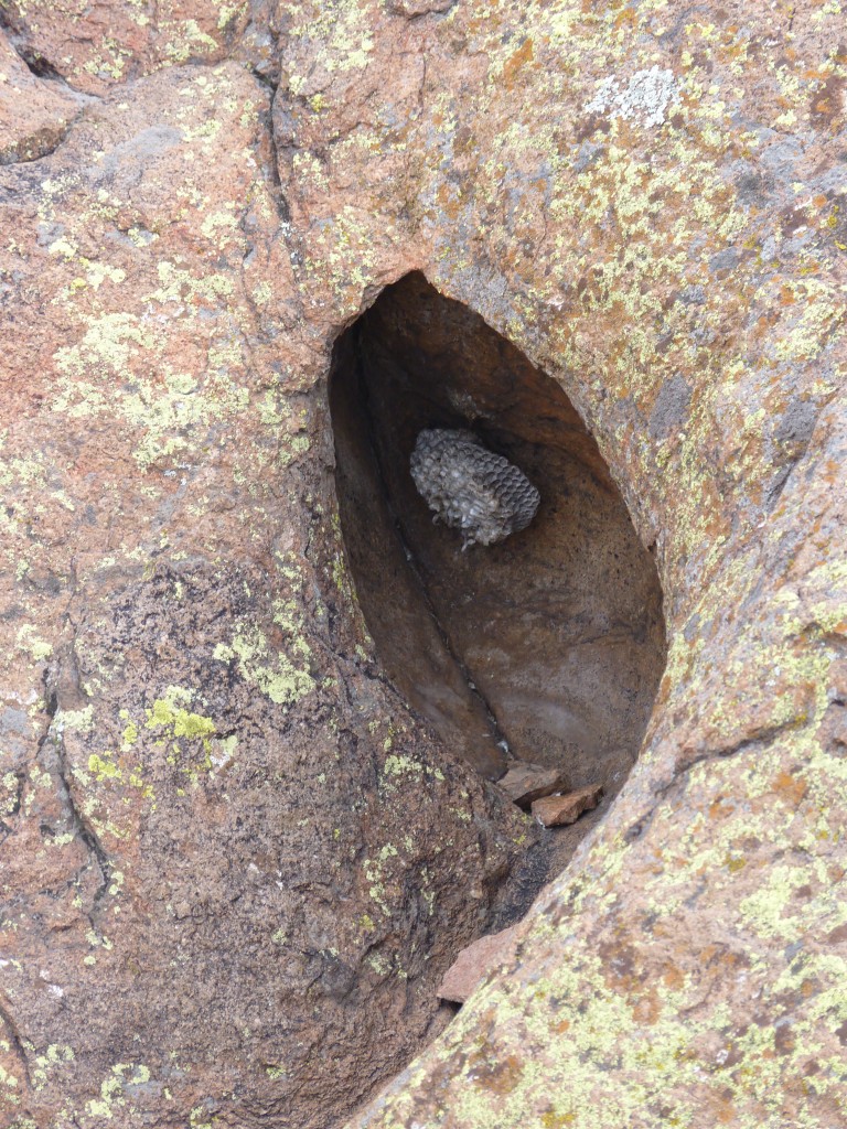 Foto: Parque Nacional Lihué Calel. - Lihué Calel (La Pampa), Argentina