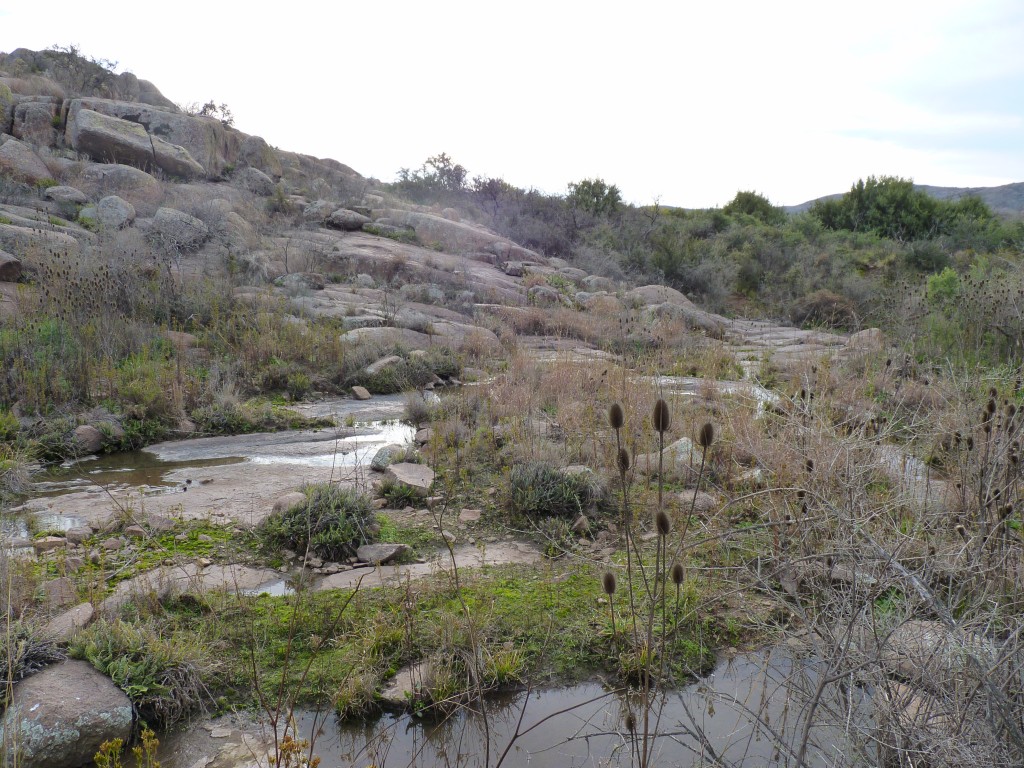 Foto: Parque Nacional Lihué Calel. - Lihué Calel (La Pampa), Argentina