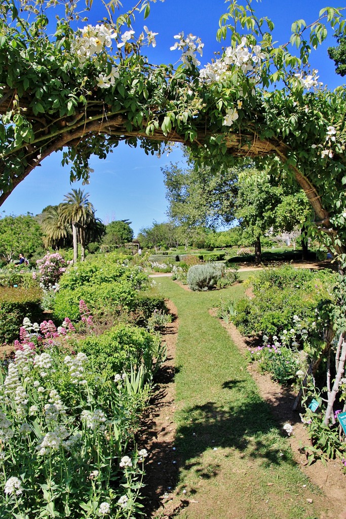 Foto: Parque Cervantes - Barcelona (Cataluña), España