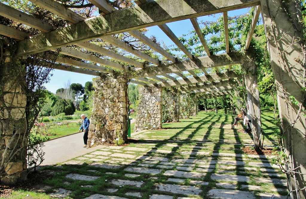 Foto: Parque Cervantes - Barcelona (Cataluña), España